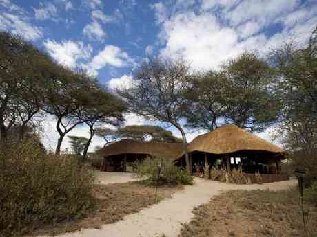 Elephant Bedroom Camp